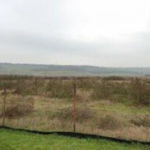 obrazek: avatar VIČICKÉ VINAŘSTVÍ MIKULÁŠEK s.r.o.