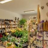 ZAHRADNICTVÍ NOVÁK HLUČÍN s.r.o.