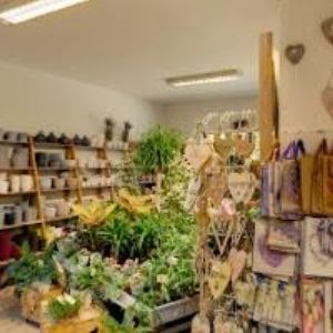 obrazek: avatar ZAHRADNICTVÍ NOVÁK HLUČÍN s.r.o.