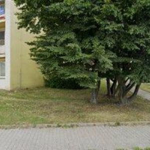 obrazek: avatar KVĚTINY FONTÁNA