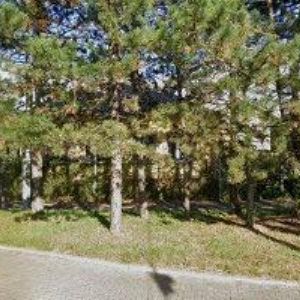 obrazek: avatar ZAHRADNICTVÍ HRBÁČ