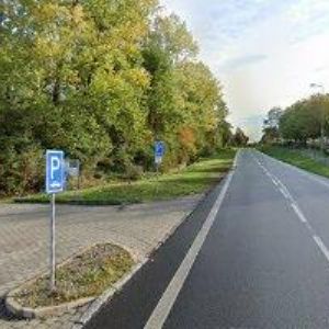 obrazek: avatar ČESKÝ KYNOLOGICKÝ SVAZ Braňany