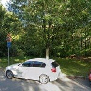 obrazek: avatar SAS VLADISLAV