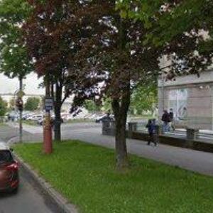 obrazek: avatar BORDOVSKÁ MARTINA