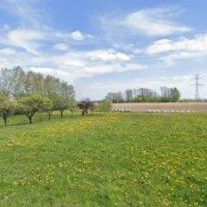 obrazek: avatar VRUBEL DOMINIK