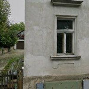 obrazek: avatar ČESKÝ KYNOLOGICKÝ SVAZ Česká Kamenice