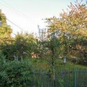 obrazek: avatar CANABIS FACTORY PRODUCT s.r.o.