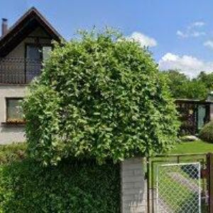 obrazek: avatar POTRAVINY FLIP