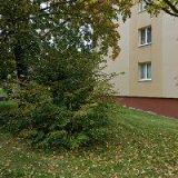 PSÍ ŠKOLA HANDLINGU