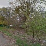 ČESKÝ KYNOLOGICKÝ SVAZ Chomutov-Břenecká