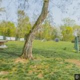 ČESKÝ KYNOLOGICKÝ SVAZ Litvínov