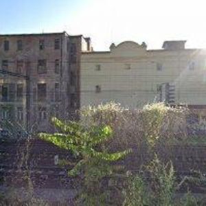 obrazek: avatar RYBÁŘSTVÍ BOHEMIA, s.r.o.