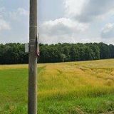 MŮJOBCHOD-ANYMARKET