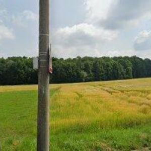 obrazek: avatar MŮJOBCHOD-ANYMARKET