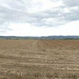 RYBÁŘSTVÍ HORÁK s.r.o.