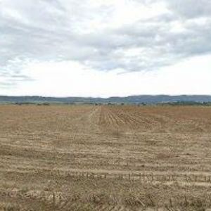 obrazek: avatar RYBÁŘSTVÍ HORÁK s.r.o.