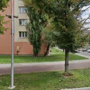 obrazek: avatar KVĚTINÁŘSTVÍ BELLIS-NĚNIČKOVÁ LENKA