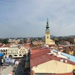 obrazek: avatar PEKÁRNA LEŠŇANKA