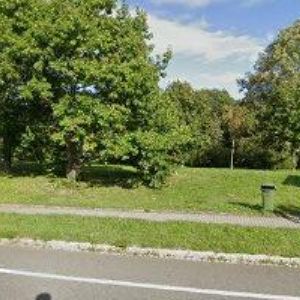 obrazek: avatar PRONA