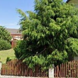 obrazek: avatar MATYP-MATYÁŠKOVÁ