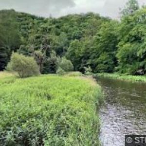 obrazek: avatar SMÍŠENÉ ZBOŽÍ VEČERKA