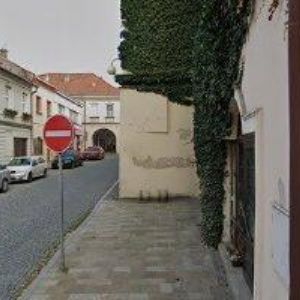 obrazek: avatar KVĚTINÁŘSTVÍ HASOŇOVI