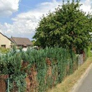 obrazek: avatar WANIEK-KVĚTINY, s.r.o.