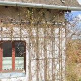 KAŠUBOVÁ KOCIÁNOVÁ PAVLA Ing.