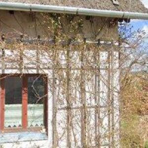 obrazek: avatar KAŠUBOVÁ KOCIÁNOVÁ PAVLA Ing.