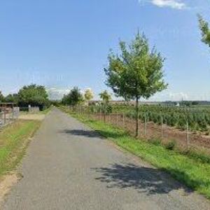 obrazek: avatar ARBOEKO s.r.o.