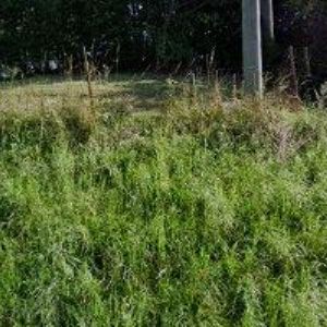 obrazek: avatar CIMALA PAVEL