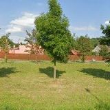 ZEMĚDĚLSKÁ FARMA RÝMAŘOV-HOŘÁK JAN