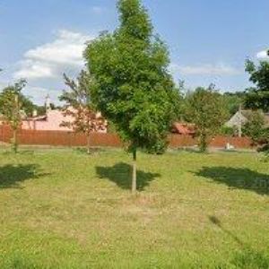 obrazek: avatar ZEMĚDĚLSKÁ FARMA RÝMAŘOV-HOŘÁK JAN