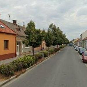 obrazek: avatar VČELAŘSTVÍ VYMAZAL