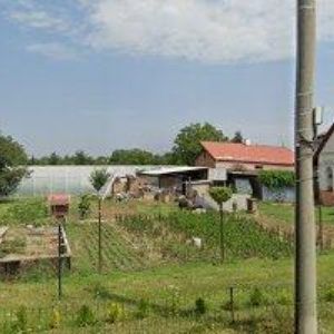 obrazek: avatar ZAHRADNICTVÍ MANOVI