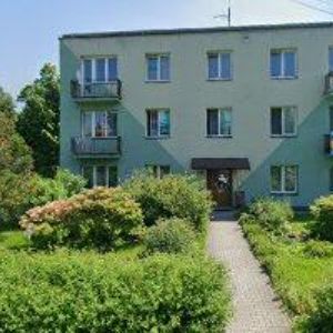 obrazek: avatar ŽABČÍK MILAN-ŘEZNICTVÍ TROJANOVICE