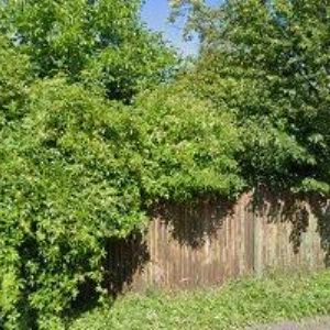 obrazek: avatar DIEMA s.r.o.