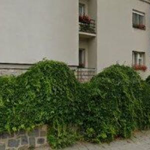 obrazek: avatar BEDNAŘÍK MIROSLAV