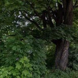 obrazek: avatar TĚŠÍNSKÉ JATKY HOLDING, s. r. o.