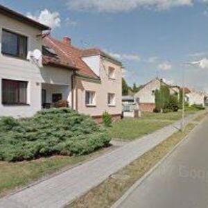 obrazek: avatar TARIČ RADEK