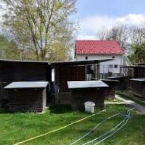 obrazek: avatar LIGA NA OCHRANU ZVÍŘAT ČR ORGANIZACE OLOMOUC