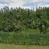 ORSÁG PETR-SPORTSERVIS