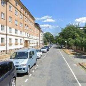 obrazek: avatar SMELÍKOVÁ VIOLA