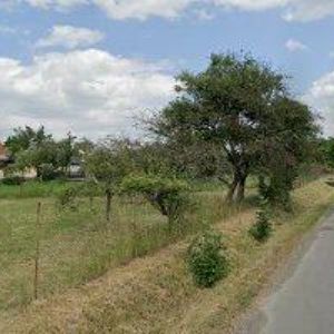 obrazek: avatar SLOŽIL PAVEL