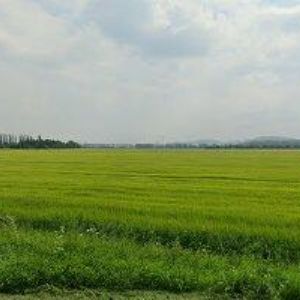 obrazek: avatar ČESKÝ KYNOLOGICKÝ SVAZ Drahotuše