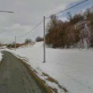 obrazek: avatar ČESKÝ KYNOLOGICKÝ SVAZ Hranice