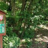 ČESKÝ KYNOLOGICKÝ SVAZ Moravičany