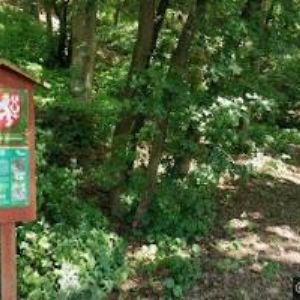 obrazek: avatar ČESKÝ KYNOLOGICKÝ SVAZ Moravičany