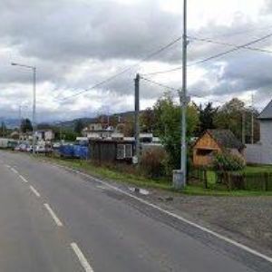 obrazek: avatar ČESKÝ KYNOLOGICKÝ SVAZ Šumperk-Nové Domky