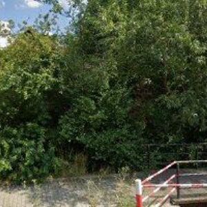 obrazek: avatar ČESKÝ KYNOLOGICKÝ SVAZ Šumperk-Temenice